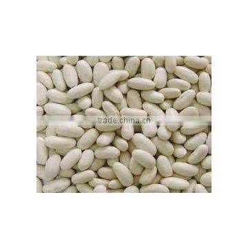 WHITE KIDNEY BEANS