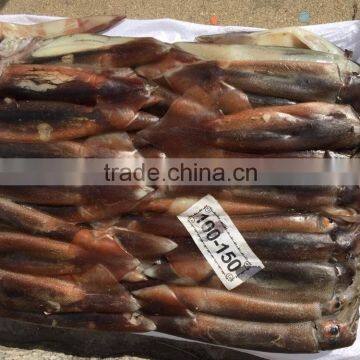 Frozen Illex Squid (100-150g)