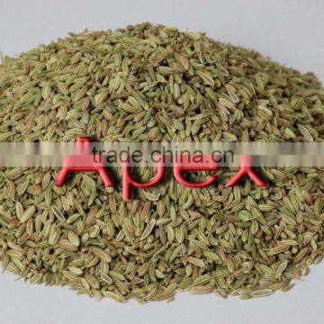 Apex Supplies Quality Foeniculum Vulgare Fennel / Foeniculum Vulgare / Fennel Seeds / Saunf photo-3