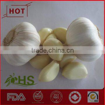 Natural white hotsale fresh garlic