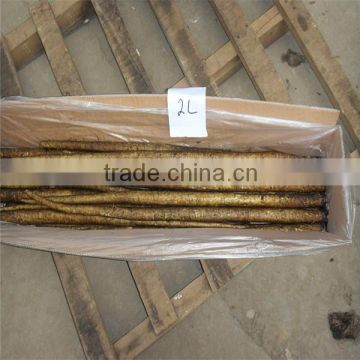 burdock/fresh burdock root for export