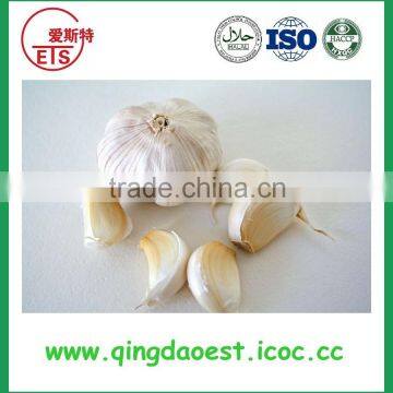 shandong jinxiang fresh and frozen Best quality white garlic