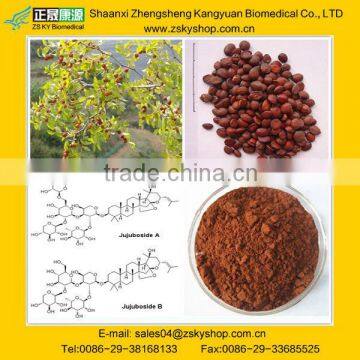 Ziziphus Jujuba Extract with Jujubosides 2% from GMP manufacturer