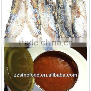 Tins Packing Canned Mackerel in Tomato Sauce