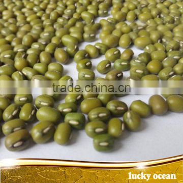 common green mung bean for food manufacturing