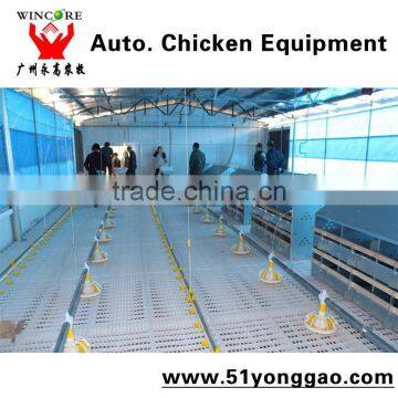 High quality Automatic whole poultry equipment for poultry house