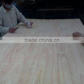 Packing Grade Laminated 18mm Eucalyptus Plywood photo-3