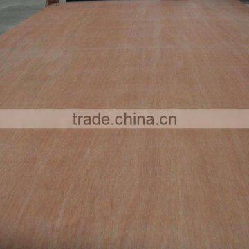 THUAN PHAT EXPORT PLYWOOD / PACKING PLYWOOD