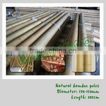 High-quality Natural Bamboo Pole 5" (HL-NTBP15)