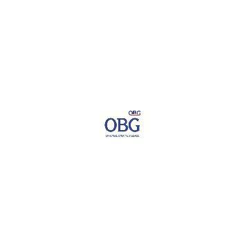 Qingdao Oriental Brother New Energy Technology Co., Ltd.