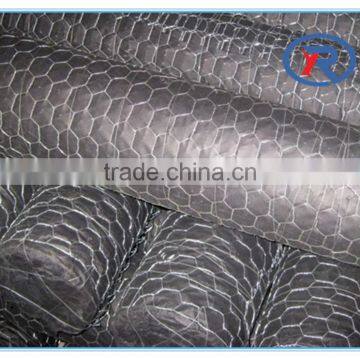 China Lowest Price Galvanized Hexagonal Wire Netting/decorative Chicken Wire Mesh photo-6