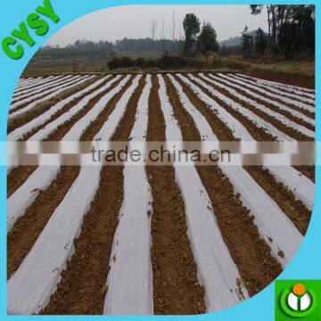 High quality PP ground cover /high quality mulch film with cheap price