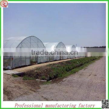 High Quality 9.6m Multi-span Commerical Plastic Greenhouses for Agriculture photo-5
