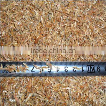 Dry Pet Food Sun Dried Shrimp For Fish