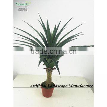SAS201607 Artificial Green Plant for Indoor Decoration photo-2