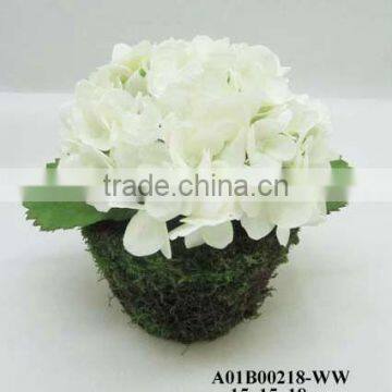 rattan pot potted white hydrangea