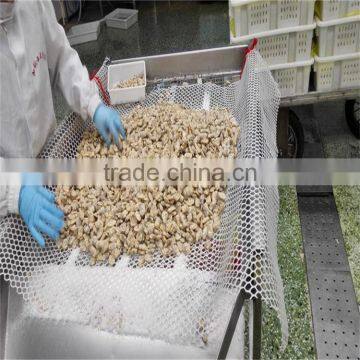 Frozen Vacuumed Short Necked Clam Cheap Pirce For Sale photo-3