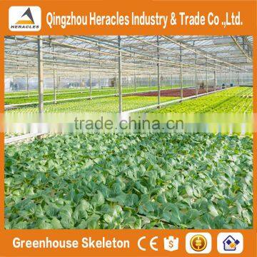 Factory Price Trade Assurance Greenhouse Equipment PC Sheet Agricultural Greenhouse Tunnel for Vegetable photo-4