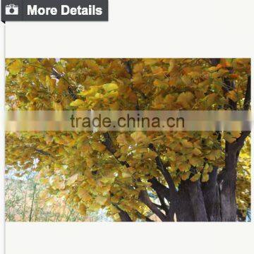 Imitation Large Artificial Decorative Tree Artificial Banyan Tree photo-4