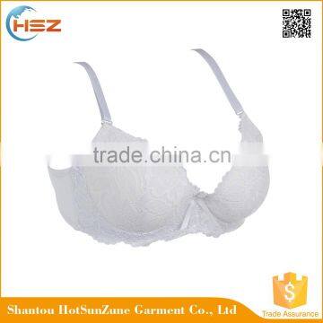 HSZ-58048 Latest Fashion Underwear Lady Custom Lingerie With Lace Very Sexy Push Up Bra