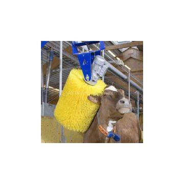 Cattle Brush