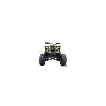 ATV Motor 205103100026