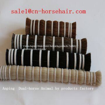 Horse Tail Hair