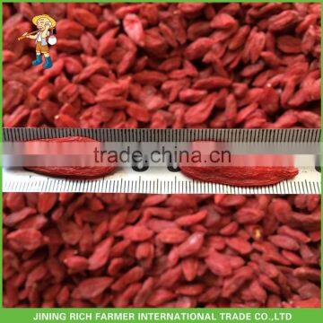 Dried Goji Berry Packed 5Kg/Bag * 4 In 20Kg Carton