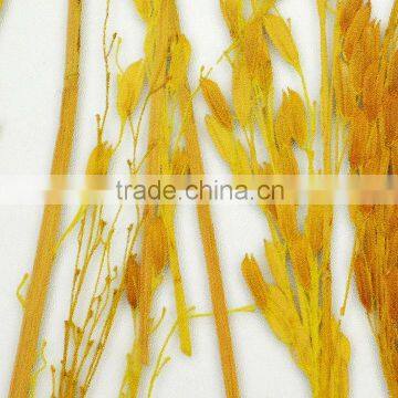 transparent resin wall panel