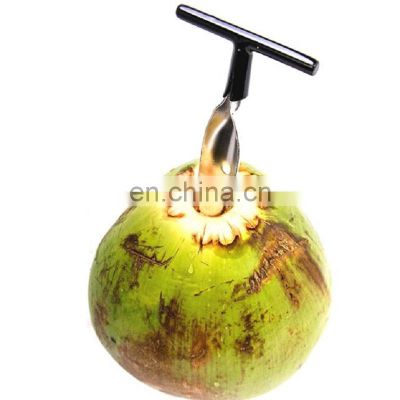 Stainless Steel Coconut Opener