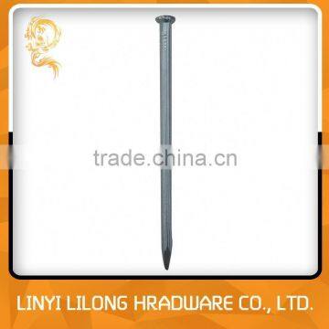 Galvanized Concrete Nails Price