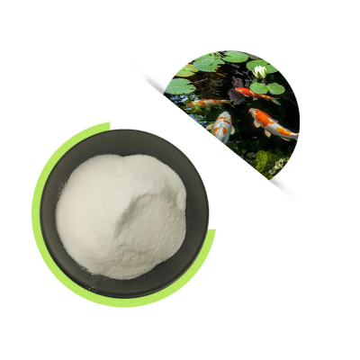 Supply High Quality Bacillus Coagulans Functional Food Ingredients Probiotic Powder Milky White To Light Yellow Powder