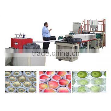 Weihai E-Fashion PE Foam Fruit Net Making Machine photo-2