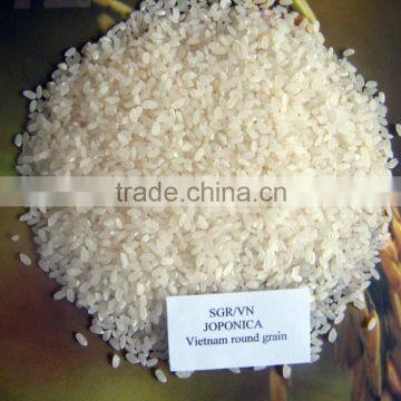 5%, 25% BROKEN LONG GRAIN White and Par Boiled RICE photo-4