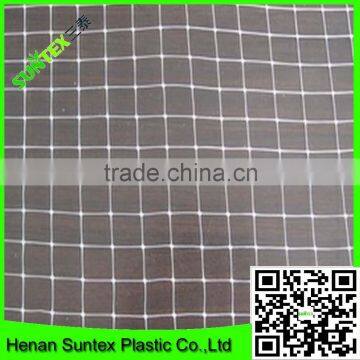 China Factory Supply Chicken Coop Netting Heavy-Duty HDPE UV Fine Mesh Nylon Nets/pp Stretch Mesh Net /Bop Net /white Bird Net photo-5