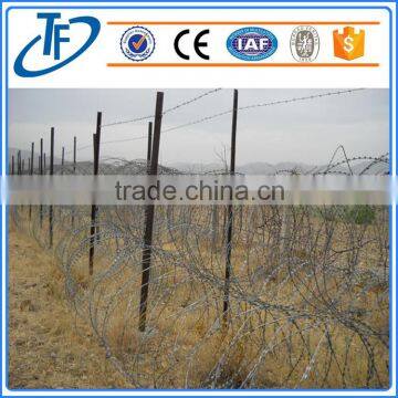Manufacturer Direct Sale Best Quality Stainless Razor Wire Mesh photo-6