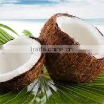 LARGE SIZE SEMI HUSKED FRESH COCONUTS