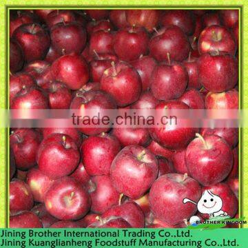 huaniu apple fruit from origin