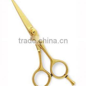 Professional Hair Cutting Scissors