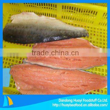 fresh new frozen salmon fillet