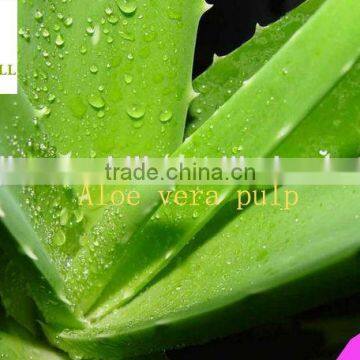 100% Organic Aloe Vera Gel for pulp,Aloe vera pulp for aloe vera juice with pulp