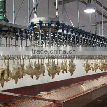 High quality chicken slaughter equipment