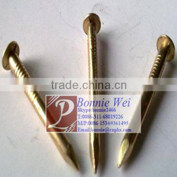 Wholesale cheap price flat head copper nail