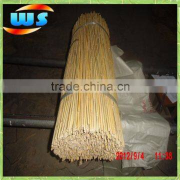 Bamboo cane use in tree nurseries ,gardening,,decoration