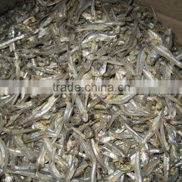 DRIED ANCHOVY FISH SELLER (Email: katherine.vilaconic@gmail.com, Viber, Whatsapp: +841687264621)