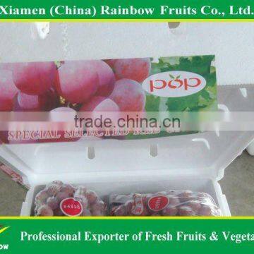 Chinese Fresh Delicious Red Table Globe Grape Wine Grapes photo-6