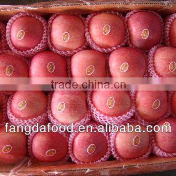 Red Fuji Apple Fruits