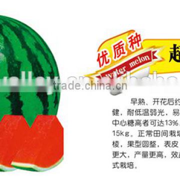 2015 High Sweet Chinese Hybrid F1 Sweet Watermelon Seeds For Growing-Super Green No.7 F1