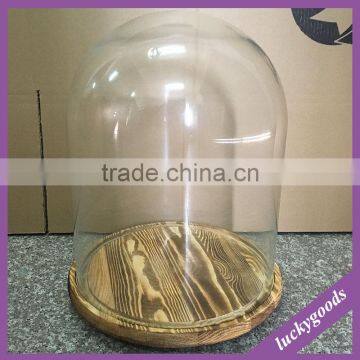 wholesale indoor decorative glass dome with wood base