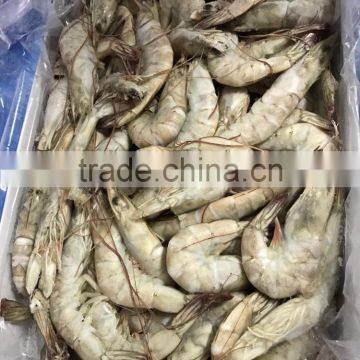 Frozen vannamei white shrimp prawns for seafood wholesaler in thailand usa european